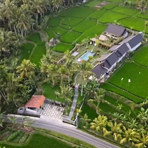 Coconut Guest house